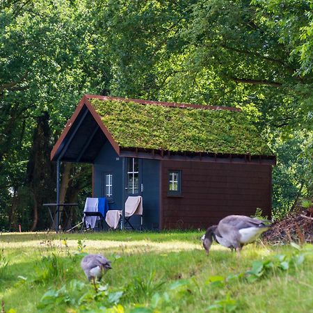Fehnkate Leilighet Papenburg Eksteriør bilde